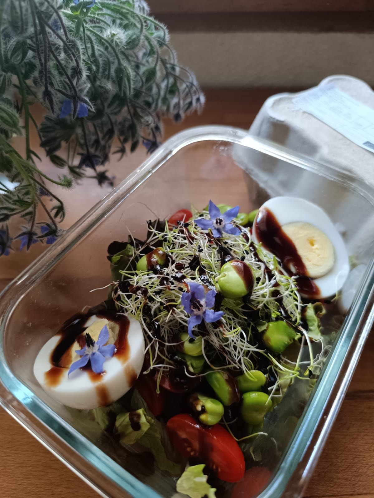Un plat préparé et conditionné pour la livraison